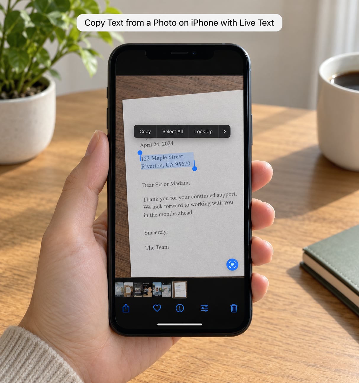 Copy Text from a Photo on iPhone with Live Text