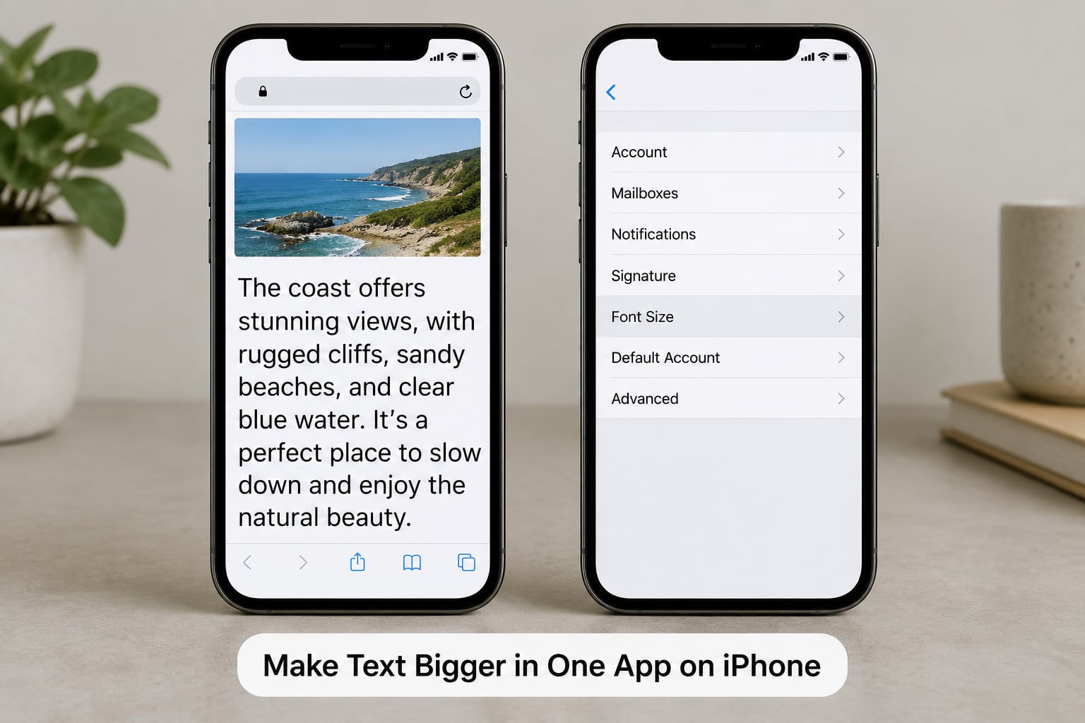 Make Text Bigger in One App on iPhone